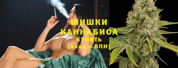 СК Волоколамск