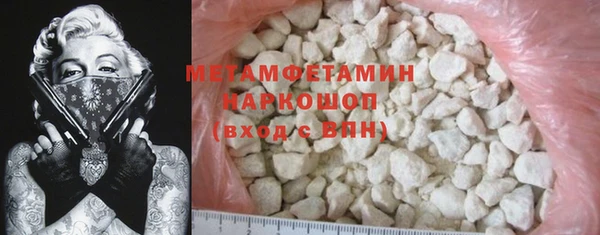 прущие грибы Волосово