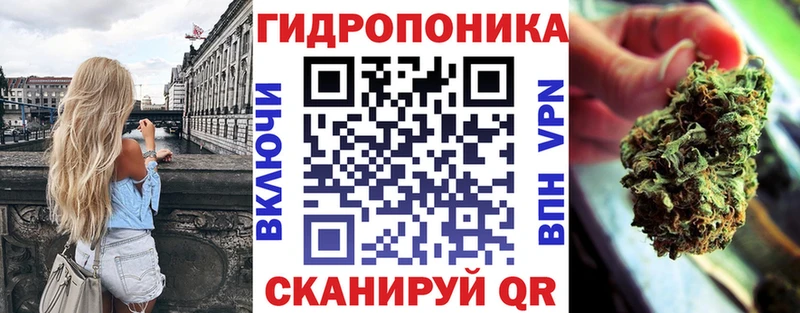 Конопля индика  Иннополис 